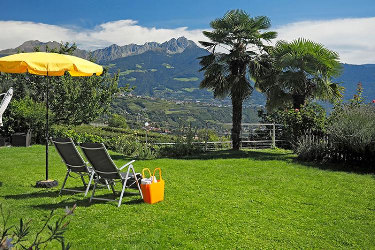 Sonne tanken auf unserer schönen Liegewiese