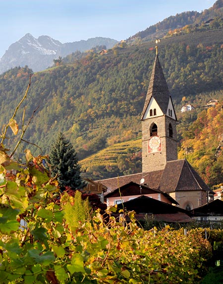 Herbst- und Törggelezeit in Algund und Umgebung